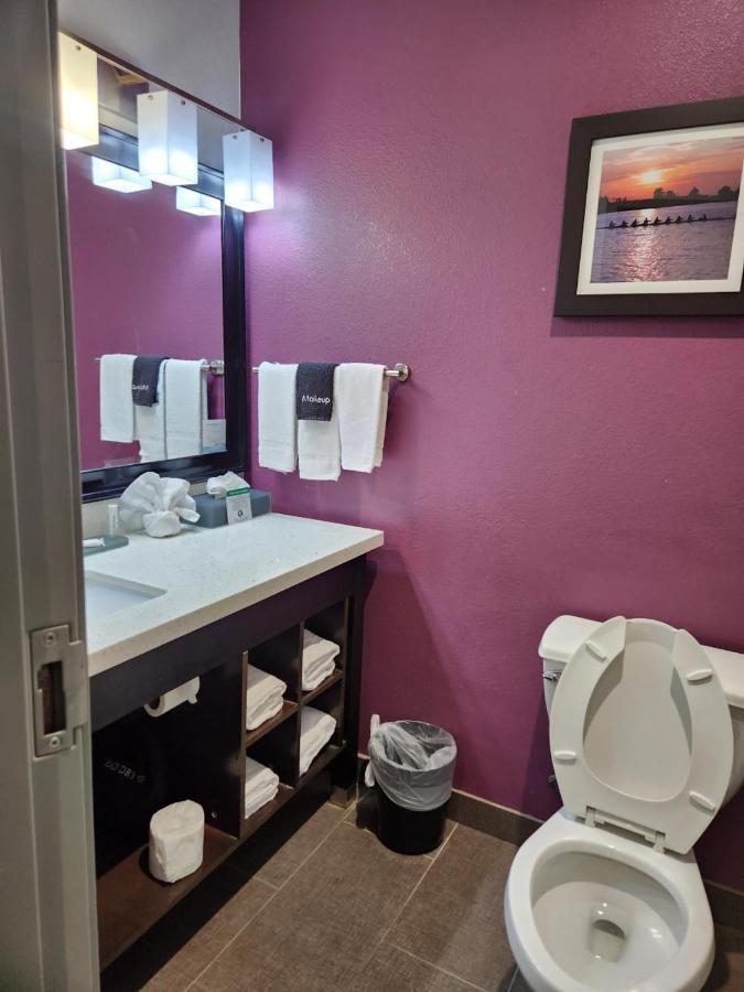 La Quinta By Wyndham Dallas Grand Prairie North Eksteriør billede